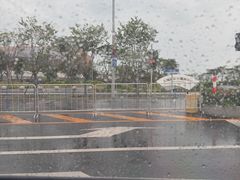 -大湾区中央湿地公园-十九涌