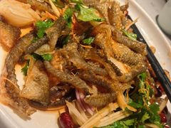 -大榕树下顺德菜(融创茂店)