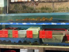 -坛南湾阿强农家乐.海鲜大排档老字号(福州地标美食店)