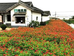 -小陆莲花蟹园农家乐(莲花岛店)