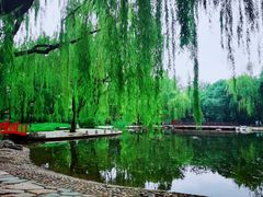 -玲珑塔公园