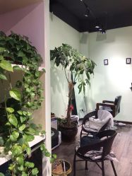 点击看大图 -初心HAlRSALON烫染接发