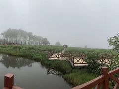 -广州市石门国家森林公园