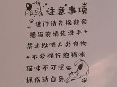 -猫咪派对(江南西店)