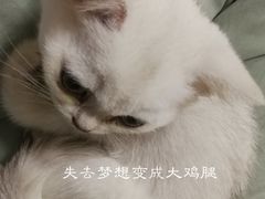 -恋萍小吃(时代店)
