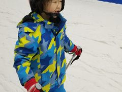 -哈尔滨热雪奇迹