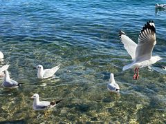 -丽江泸沽湖景区