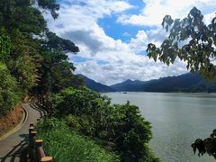 -羚羊峡古栈道森林公园