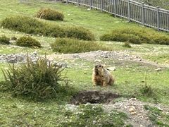 -墨石公园景区