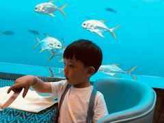 -瑞德姆美人鱼海底演艺主题餐厅(亚龙湾店)