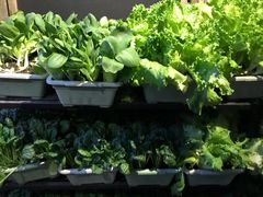 -旅马餐厅(茅家埠店)