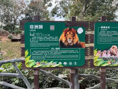 -海南热带野生动植物园