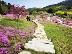 -棒棰岛宾馆景区