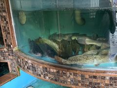 -西江传说•酸汤鱼(水东路店)