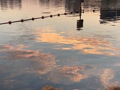 -天鹅湖体育公园