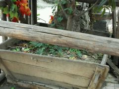 android_upload_pic-田园印象·成都土菜院子(华阳店)