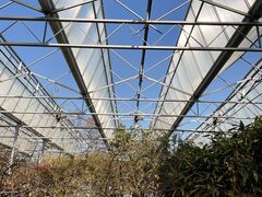 -北京鹫峰国家森林公园