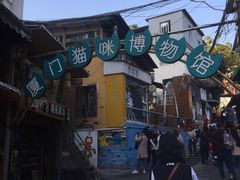 -猫咪博物馆(顶澳仔猫街店)