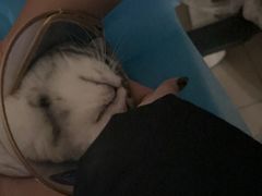 -美迦爱-牙专科·兔科·骨科诊疗中心(北苑店)