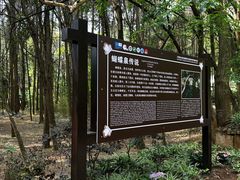 -蝴蝶泉公园