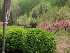 -仁和公园(顺义区)