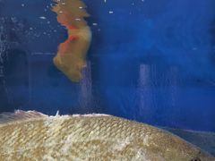 -雅逸居海鲜小厨