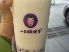 -一只酸奶牛(八一路店)