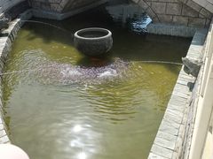 -长春孔子文化园-文庙