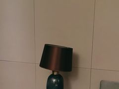 -同庆楼(天鹅酒家店)