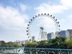 -暨阳湖生态园