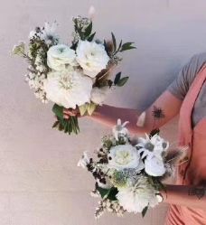 -索菲亚摄影会所