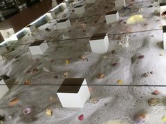 -青岛贝壳博物馆