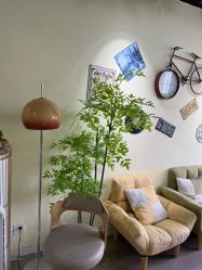 -变美丽半永久纹眉连锁·机器野生眉•洗眉