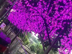 -花好悦园(瀛洲店)