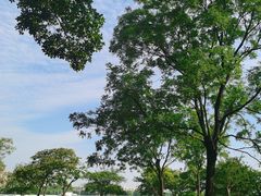-蠡湖大桥公园
