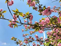 -潜山国家森林公园