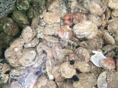 -海岸风情蒸汽海鲜自助餐厅(家宴金手勺店)