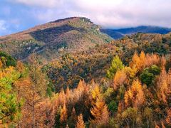 -光雾山旅游景区
