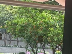 -怡咖啡·自助餐·西安香格里拉