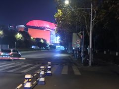 -南京奥林匹克体育中心-体育馆