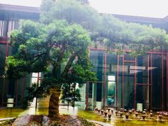 -上海崇明金茂凯悦酒店