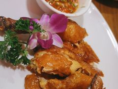 -新白鹿餐厅(百联中环店)