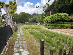 -小凉帽之家酒店(甘坑古镇店)