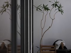 -VOYAGE COFFEE 咖啡烘焙工坊店(798艺术区店)