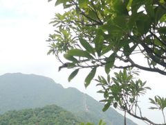 -梧桐山风景名胜区