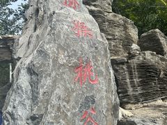 -大岭沟猕猴桃谷风景区