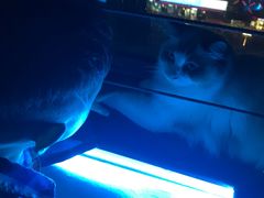 -零纪元VR体验馆·桌游(黄浦店)