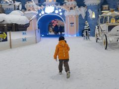 -世界之窗阿尔卑斯冰雪世界