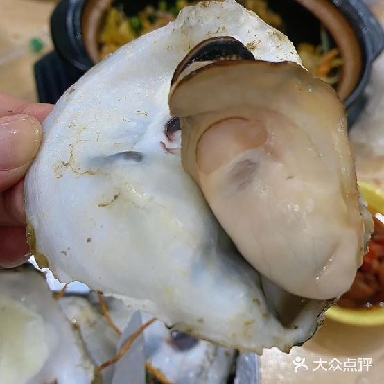 蚝饱满
