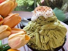 -东莞植物园